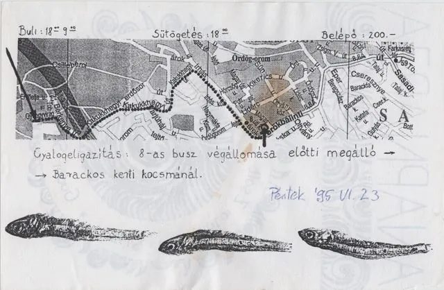Frankhegy, 23 June 1995: photograph 3 of 3 in the archive's gallery