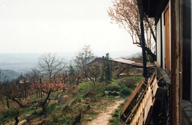 Formation of Frankhegy (Cultural Terraformation): photograph 89 of 109 in the archive's gallery