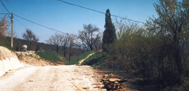 Formation of Frankhegy (Cultural Terraformation): photograph 87 of 109 in the archive's gallery