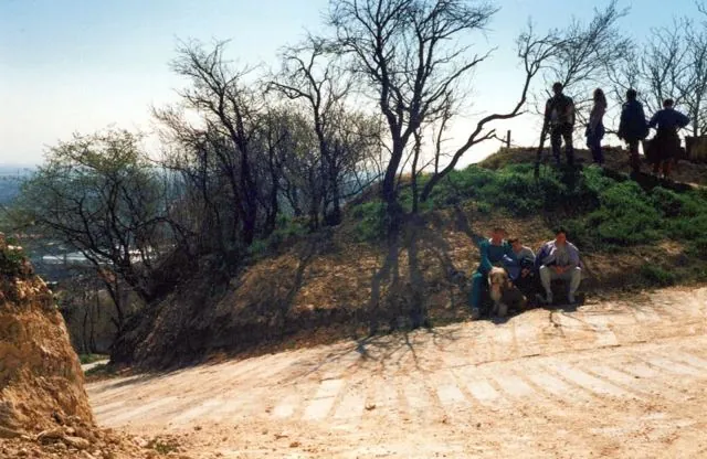 Formation of Frankhegy (Cultural Terraformation): photograph 102 of 109 in the archive's gallery
