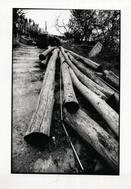 Formation of Frankhegy (Cultural Terraformation): photograph 14 of 109 in the archive's gallery