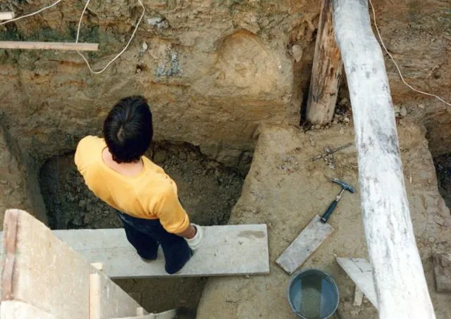 Formation of Frankhegy (Cultural Terraformation): photograph 34 of 109 in the archive's gallery