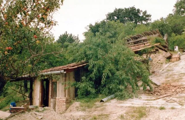 Formation of Frankhegy (Cultural Terraformation): photograph 20 of 109 in the archive's gallery