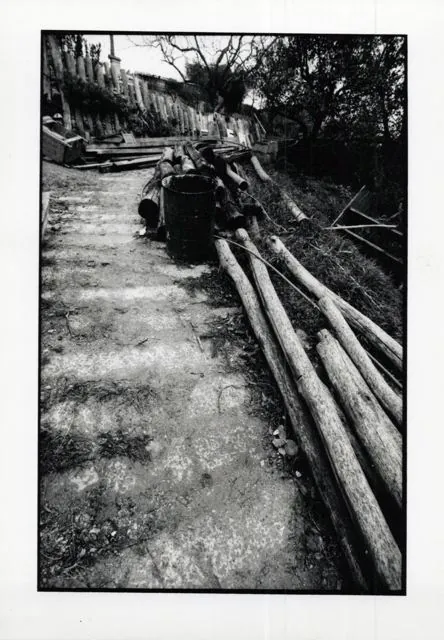 Formation of Frankhegy (Cultural Terraformation): photograph 2 of 109 in the archive's gallery