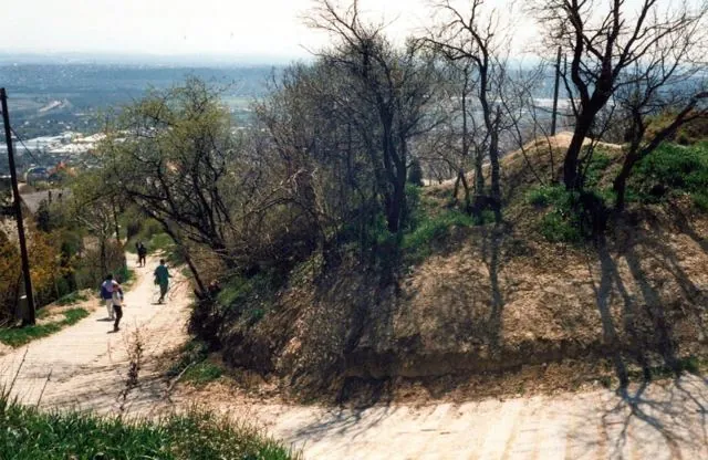 Formation of Frankhegy (Cultural Terraformation): photograph 103 of 109 in the archive's gallery
