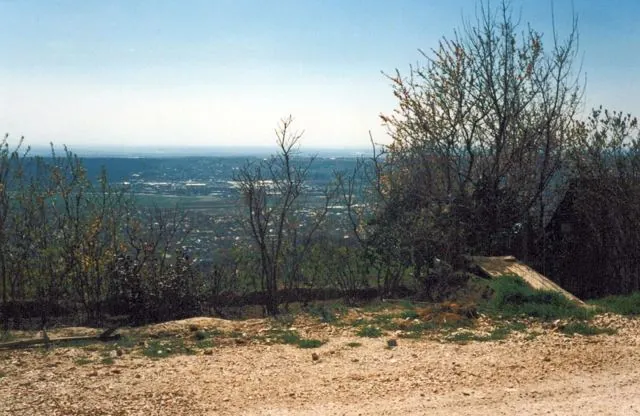 Formation of Frankhegy (Cultural Terraformation): photograph 100 of 109 in the archive's gallery