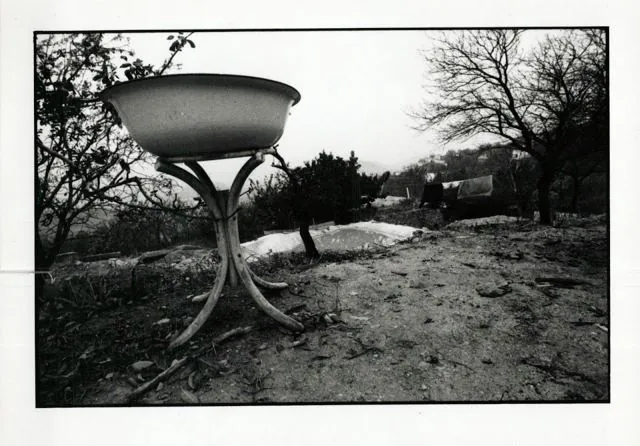 Formation of Frankhegy (Cultural Terraformation): photograph 18 of 109 in the archive's gallery
