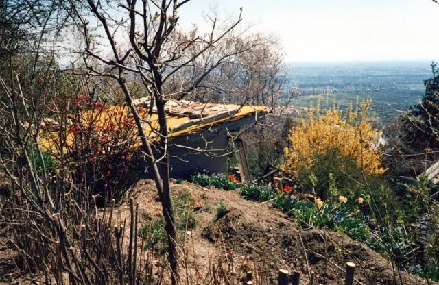Formation of Frankhegy (Cultural Terraformation): photograph 101 of 109 in the archive's gallery