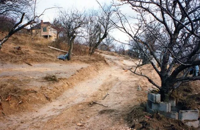 Formation of Frankhegy (Cultural Terraformation): photograph 66 of 109 in the archive's gallery