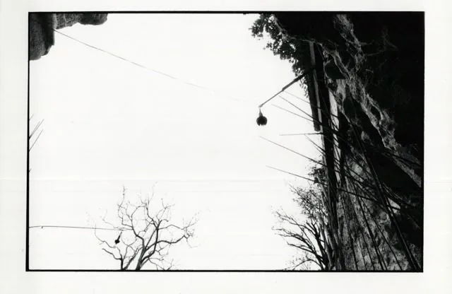 Formation of Frankhegy (Cultural Terraformation): photograph 11 of 109 in the archive's gallery