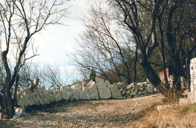Formation of Frankhegy (Cultural Terraformation): photograph 27 of 109 in the archive's gallery