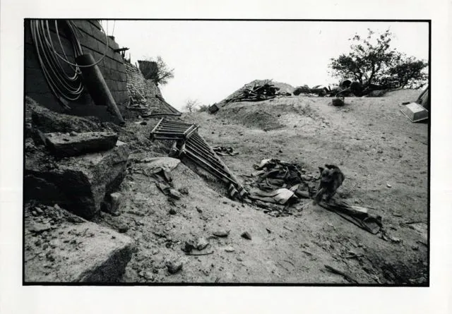 Formation of Frankhegy (Cultural Terraformation): photograph 13 of 109 in the archive's gallery
