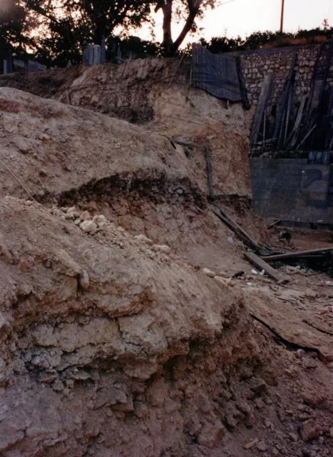 Formation of Frankhegy (Cultural Terraformation): photograph 60 of 109 in the archive's gallery