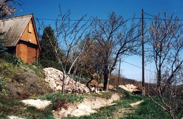 Formation of Frankhegy (Cultural Terraformation): photograph 104 of 109 in the archive's gallery