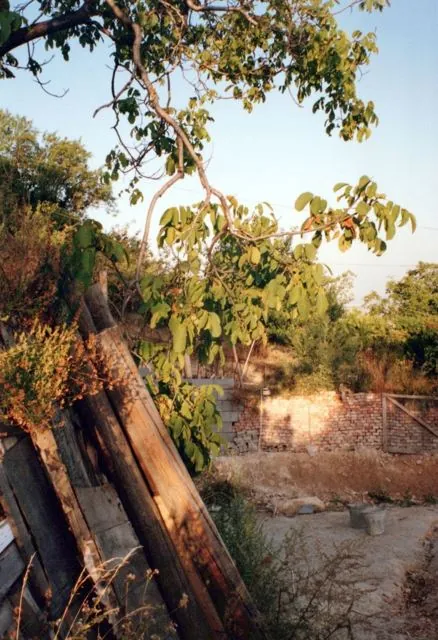 Formation of Frankhegy (Cultural Terraformation): photograph 77 of 109 in the archive's gallery