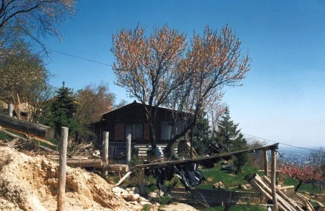 Formation of Frankhegy (Cultural Terraformation): photograph 106 of 109 in the archive's gallery
