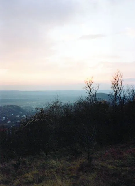 Formation of Frankhegy (Cultural Terraformation): photograph 69 of 109 in the archive's gallery