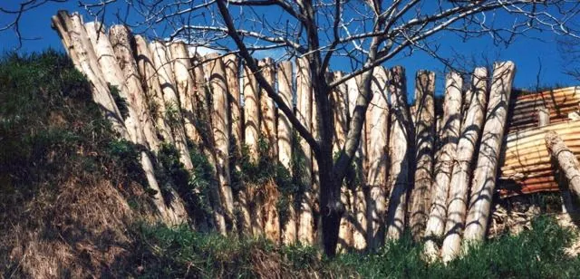 Formation of Frankhegy (Cultural Terraformation): photograph 108 of 109 in the archive's gallery