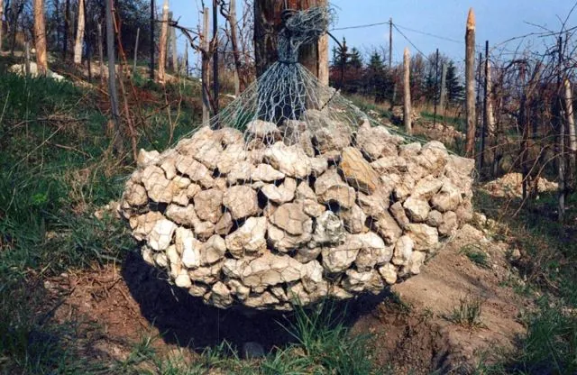 Formation of Frankhegy (Cultural Terraformation): photograph 95 of 109 in the archive's gallery