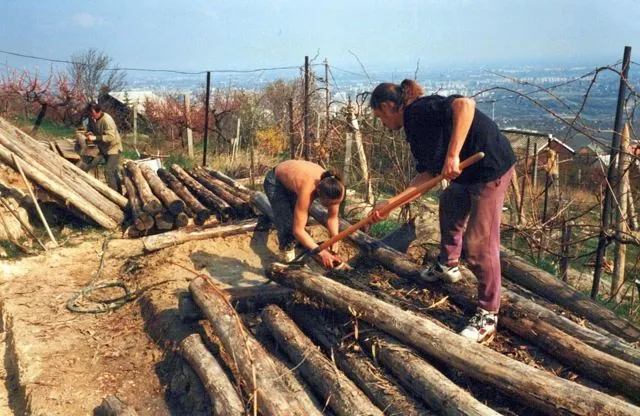Formation of Frankhegy (Cultural Terraformation): photograph 90 of 109 in the archive's gallery