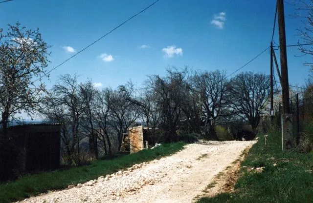 Formation of Frankhegy (Cultural Terraformation): photograph 99 of 109 in the archive's gallery