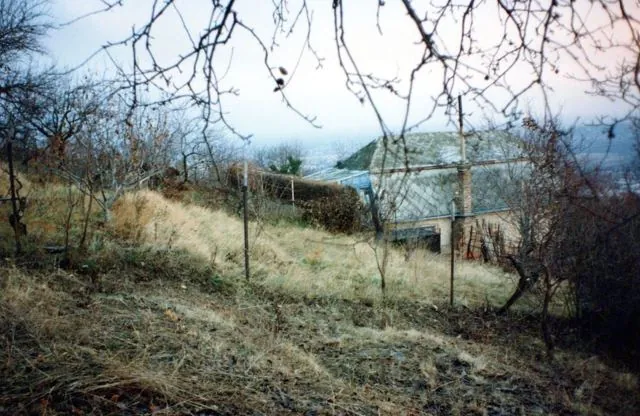 Formation of Frankhegy (Cultural Terraformation): photograph 68 of 109 in the archive's gallery