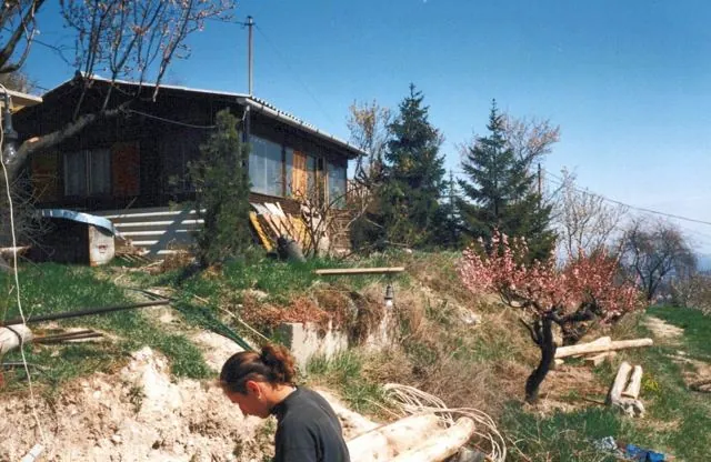 Formation of Frankhegy (Cultural Terraformation): photograph 105 of 109 in the archive's gallery