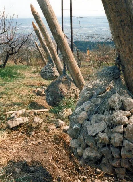 Formation of Frankhegy (Cultural Terraformation): photograph 94 of 109 in the archive's gallery