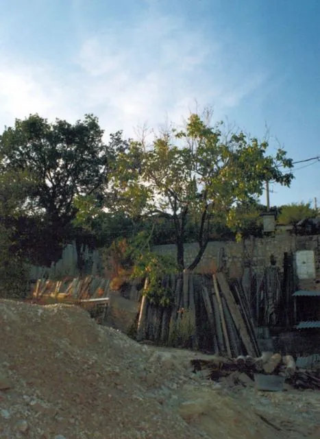 Formation of Frankhegy (Cultural Terraformation): photograph 80 of 109 in the archive's gallery