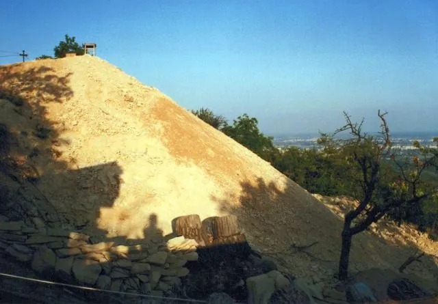 Formation of Frankhegy (Cultural Terraformation): photograph 76 of 109 in the archive's gallery
