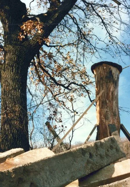 Formation of Frankhegy (Cultural Terraformation): photograph 36 of 109 in the archive's gallery