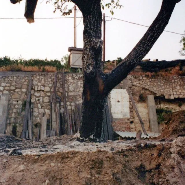 Formation of Frankhegy (Cultural Terraformation): photograph 56 of 109 in the archive's gallery
