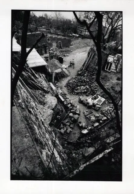 Formation of Frankhegy (Cultural Terraformation): photograph 17 of 109 in the archive's gallery