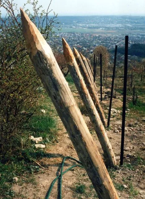 Formation of Frankhegy (Cultural Terraformation): photograph 93 of 109 in the archive's gallery