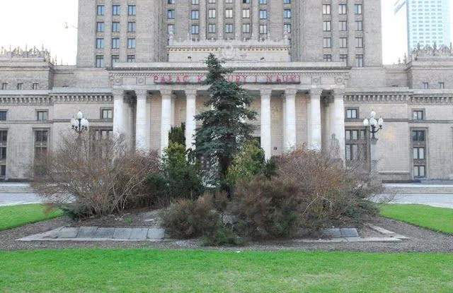 The Palace of Light and Art: An Urban Intervention, Warsaw, 2006, seven days: photograph 25 of 25 in the archive's gallery